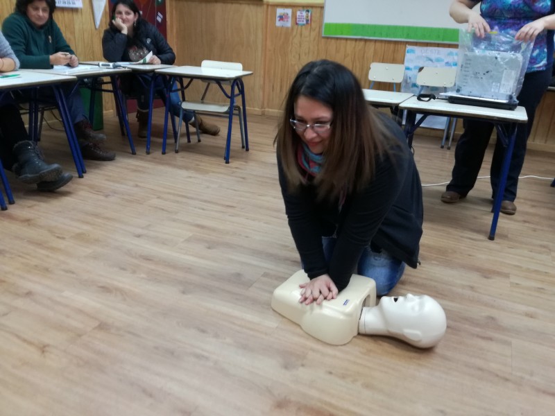 Colegio Colonos de Alerce