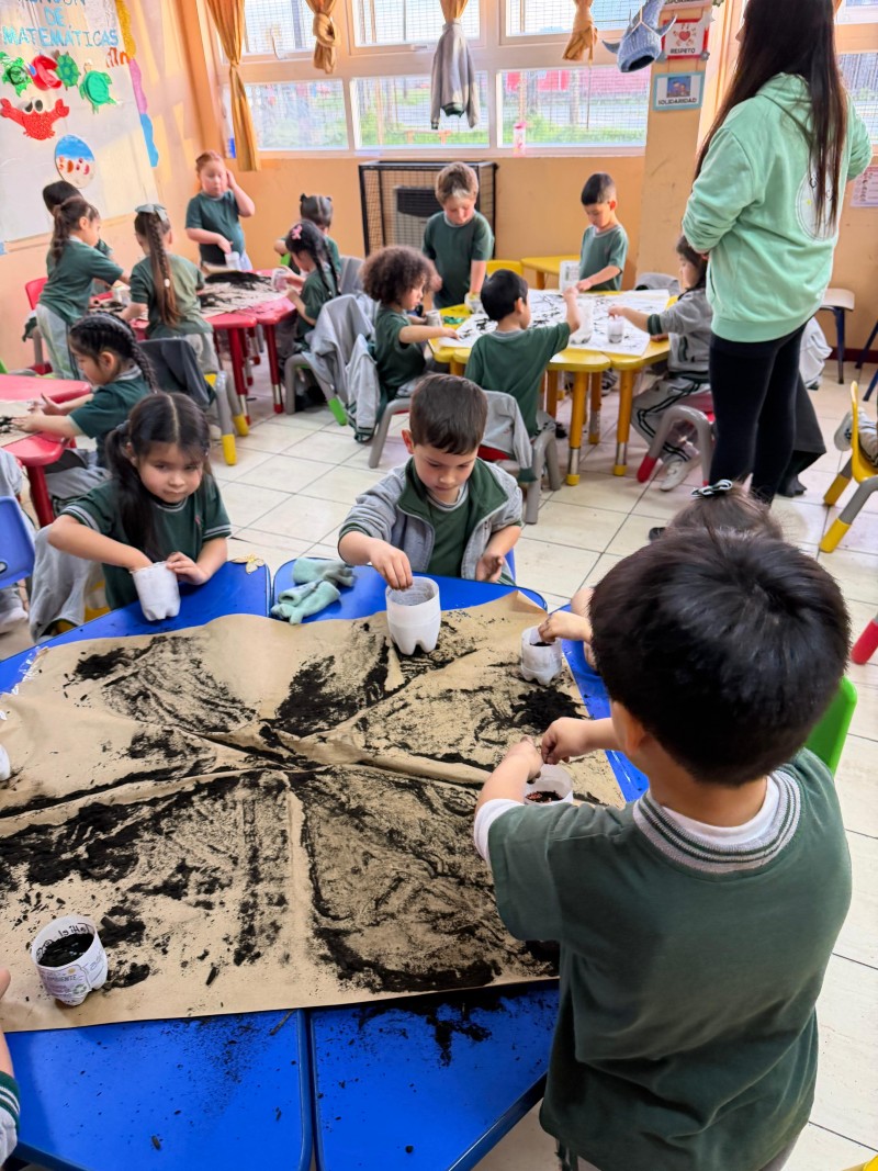 Colegio Colonos de Alerce