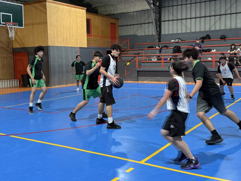Colegio Colonos de Alerce
