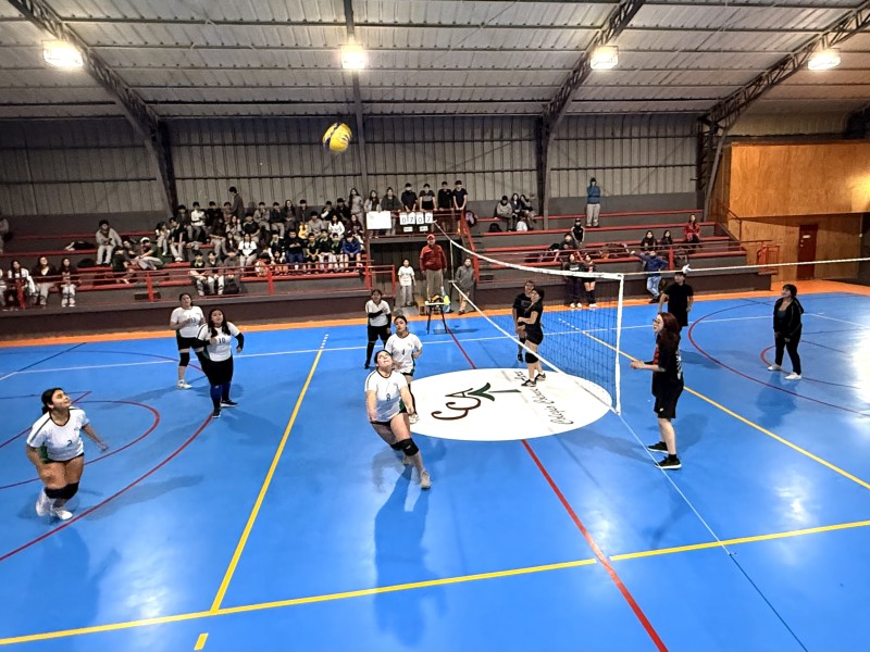 Colegio Colonos de Alerce