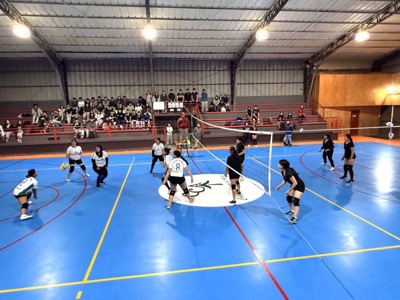 Colegio Colonos de Alerce