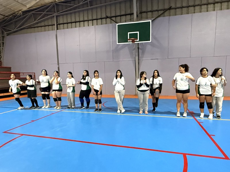 Colegio Colonos de Alerce