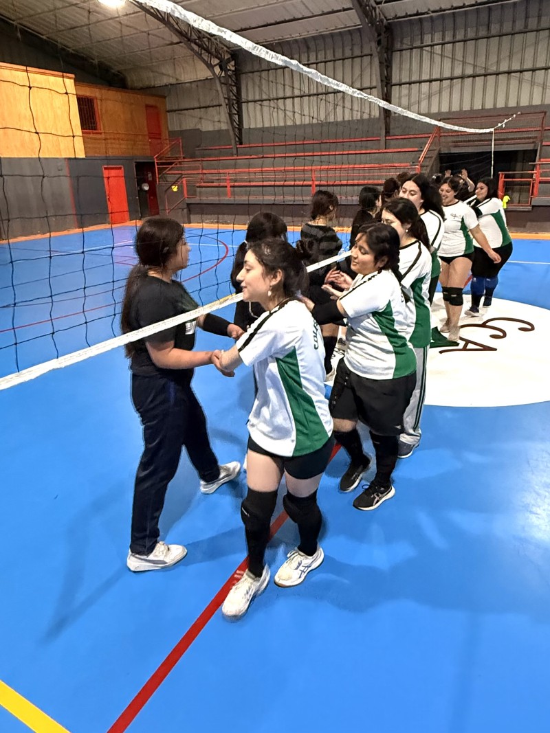 Colegio Colonos de Alerce