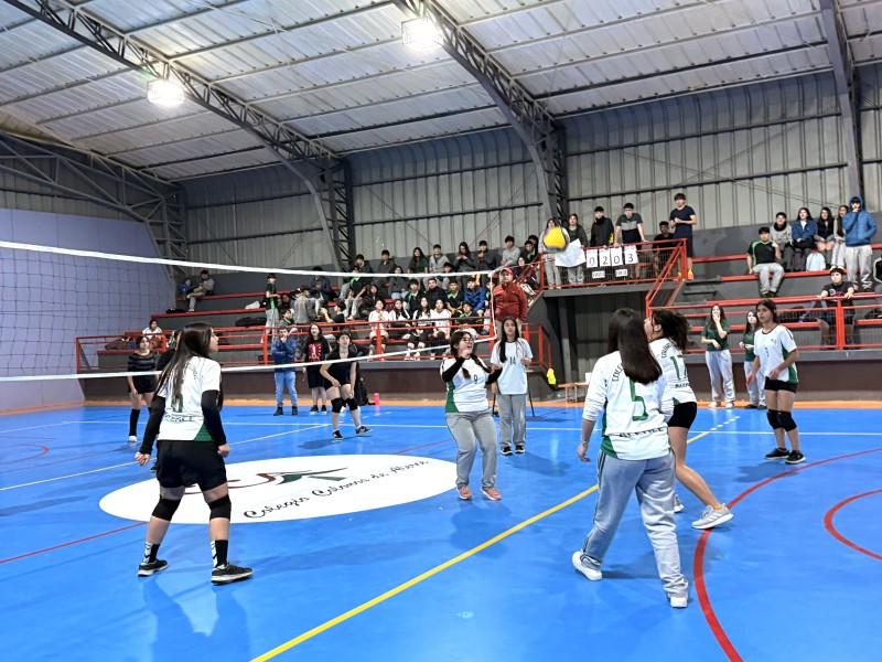 Colegio Colonos de Alerce