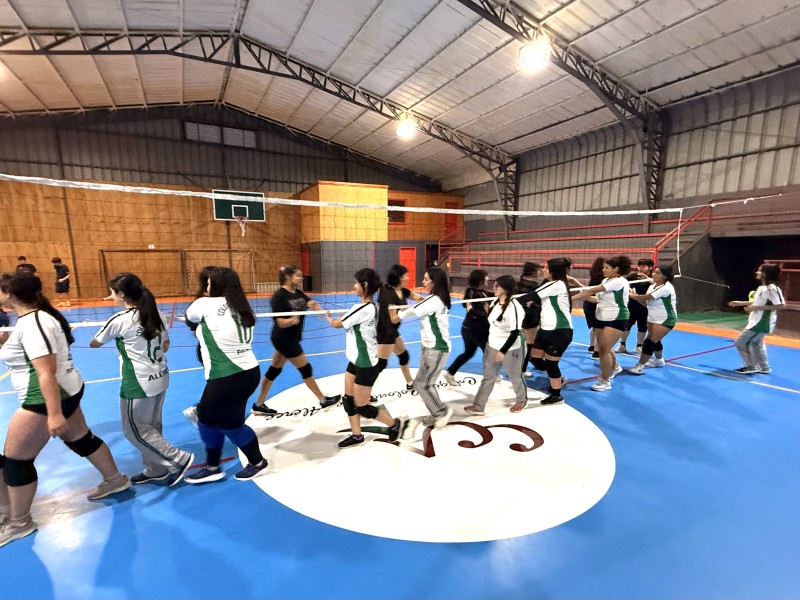 Colegio Colonos de Alerce