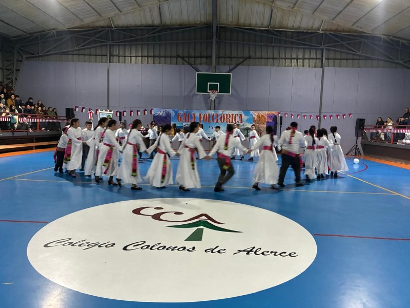 Colegio Colonos de Alerce