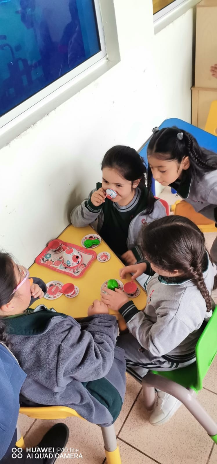 Colegio Colonos de Alerce